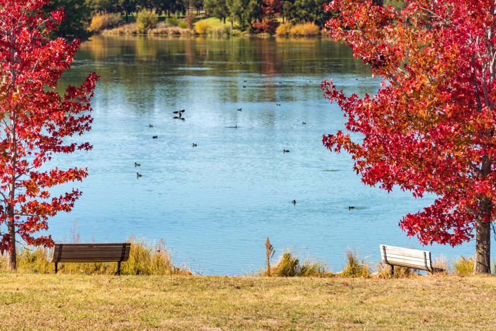 Autumn,Landscape, Gungahlin, Pond,Park